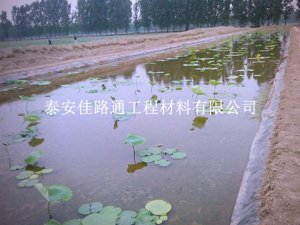 養殖防滲膜延伸率不足？根源在這些地方