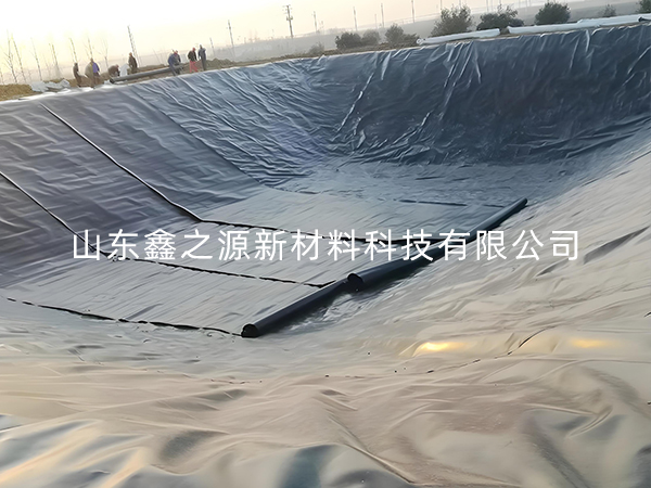 選擇防滲土工膜進行小龍蝦養殖有哪些要點技巧？