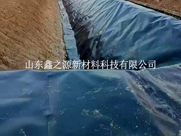 魚(yú)塘防滲膜焊縫漏了？這些檢測(cè)技巧一查一個(gè)準(zhǔn)